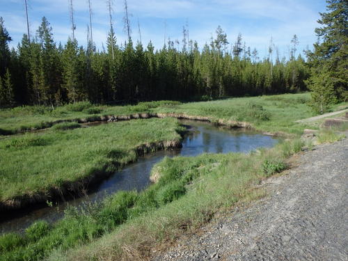 GDMBR: A bridge and pretty water and wetland views.